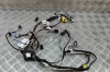 Cablaj ușă st&acirc;nga spate TESLA MODEL X 2020 OEM: 2032441-00-A | 31673266