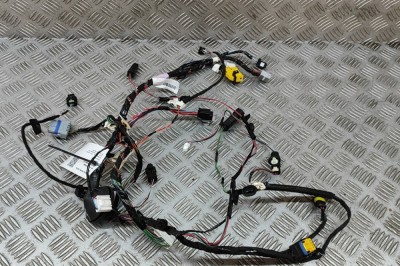 Cablaj ușă st&amp;acirc;nga spate TESLA MODEL X 2020 OEM: 2032441-00-A | 31673266 foto