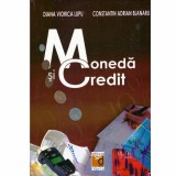 Diana Viorica Lupu, Constantin Adrian Blanaru - Moneda si credit -