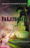 Vrăjitoarele Pandora M - Roman Bestseller New York Times, Inspirat de Musicalul Wicked, Carti Fictiune, Paperback Brosat