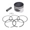 Kit piston si segmenti YX140, L-43mm Cod Produs: MX_NEW PTB0022