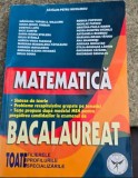 Matematica. Bacalaureat. Toate filierele, profilurile, specializarile - Catalin Petru Nicolescu
