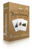 Montessori. Vocabular: Masini utilitare