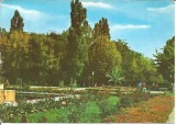 @carte postala(ilustrata)-BACAU-Vedere din parc