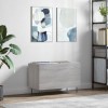 VidaXL Dulap pentru discuri gri sonoma 74,5x38x48 cm lemn prelucrat 831730
