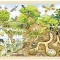 Puzzle explorand natura