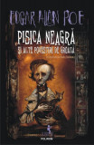 Pisica neagră și alte povestiri de groază - PB - Paperback brosat - Edgar Allan Poe - Polirom