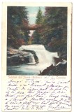SV * Salutari din Slanic (Moldova) * CASCADA * 1904, Circulata, Printata, Bacau