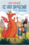 Ce vad dragonii - Diana Geacar - Polirom