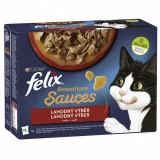 FELIX Sensations Sauces pliculețe, selecție delicioasă &icirc;n sos 12 x 85 g