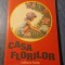 Casa florilor Valentina Dima