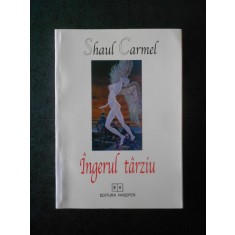 Shaul Carmel - Ingerul tarziu