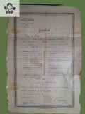 Certificat de absolvire a clasei a 6-a eliberat de Liceul roman din Bitolia 1896