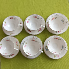 Portelan suedez KP KARLSKRONA, set de 6 cesti de cafea