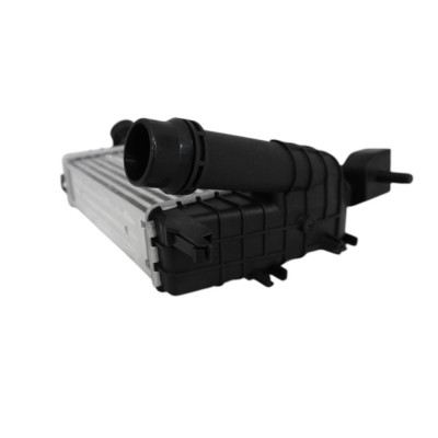 Radiator Intercooler Duster 154440 TH.03.035 foto