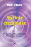 Cumpara ieftin Suflete curajoase. Ne planificam incercarile vietii, inainte de a ne naste?/Robert Schwartz