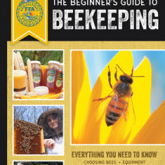 The Beginner's Guide to Beekeeping: Everything You Need to Know