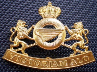 M.143 BELGIA INSIGNA MILITARA CUC BERETA Beret Logistics Unit VICTORIAM ALO foto
