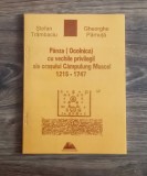 P&acirc;nza (Ocolnica) cu vechile privilegii ale orașului C&acirc;mpulung Muscel 1215-1747- Ștefan TRAMBACIU și Gheorghe PARNUTA