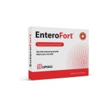 Enterofort, 15 capsule, MBA Pharma