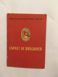 Carnet de Brigadier, vechi vintage, colectie