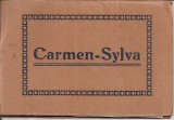 Pliant cu fotografii din perioada interbelica din statiunea Carmen-Sylva