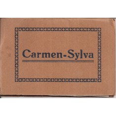 Pliant cu fotografii din perioada interbelica din statiunea Carmen-Sylva