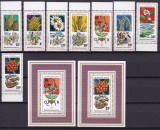 Rwanda 1975 fructe flori MI 691-698 + 2 bl. 58,59 MNH, Nestampilat