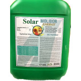 Cumpara ieftin Solar Molibor Energy 10L, ingrasamant foliar pe baza de Bor, Solarex (vita de vie, legume, capsuni, floarea soarelui, porumb, rapita), ajuta la inflor
