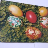 CARTE POSTALA FELICITARE PASTI CIRCULATA