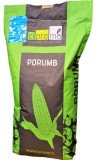 Porumb FELIX, 25.000 seminte