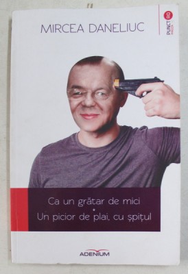 CA UN GRATAR DE MICI , UN PICIOR DE PLAI , CU SPITUL de MIRCEA DANELIUC , 2013 foto