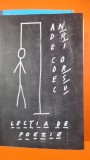 Lectia de poezie - Andrei Codrescu