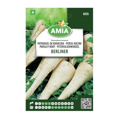 Seminte legume Amia A, patrunjel de radacina Berliner foto