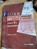 FIZICA CULEGERE DE PROBLEME - MIHAELA CHIRITA