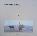 Carte Cenusevedele. Ascuns in fotografii - Autor Francisc Mraz Ferko