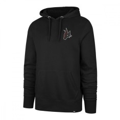 Arizona Coyotes hanorac de bărbați cu glugă Imprint Backer 47 Burnside Hood - XS