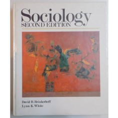 SOCIOLOGY , SECOND EDITION by DAVID B. BRINKERHOFF , LYNN K. WHITE , 1998