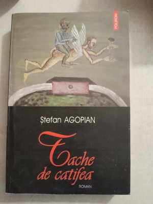 Tache de catifea - Stefan Agopian foto