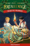 Secretul piramidei. Portalul magic nr. 3 - Paralela 45