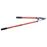 Cumpara ieftin Foarfeca pomi maner telescopic din teava cu taiere centru, Flores