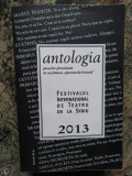 Festivalul International de Teatru de la Sibiu. Antologia anului 2013