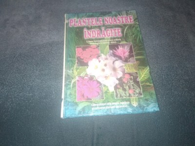 PLANTELE NOASTRE INDRAGITE foto