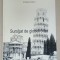 SUROGAT DE GLOBETROTTER de ANDREEA IONESCU , 1994