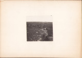 G68N Excursioniștii de sub conducerea dlui Emm de Martonne urc&acirc;nd Bihorul 1921