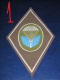 C7 41 - Ecuson tematica militara - parasutism - strain - piesa de colectie!