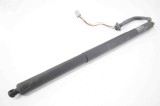 Amortizor haion st&acirc;nga TESLA MODEL S 2016 OEM: 6006610-00-B,6006610-00 10821207