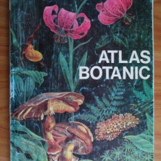 Lucia Popovici, Constanta Moruzi, Ion Toma - Atlas botanic (1993)