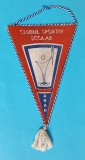 Clubul Sportiv Scolar Arad - elevi - pionieri - Fanion rar anii 1970