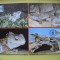 HOPCT MAXIMA NR 1070 SET 4 MAXIME -TUATARA -REPTILE 1991 NOUA ZEELANDA -FAUNA